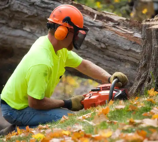 tree services La Rue